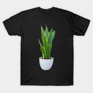 Sansevieria T-Shirt